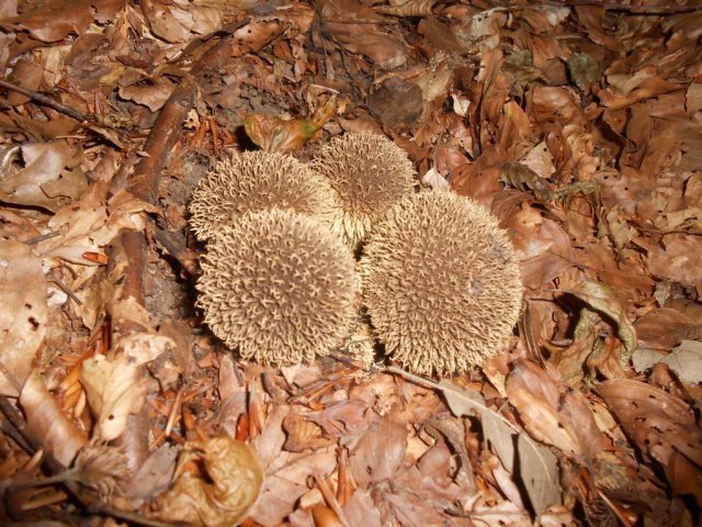 2013_07_26 10 fileminimizer